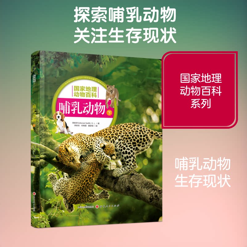 正版包邮 哺乳动物(下) 西班牙Sol90公司 著 李彤欣//任艳丽//董舒琪 译 9787203107354 山西人民出版社