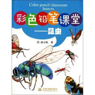 昆虫 彩色铅笔课堂 潘小欧著 9787517015697 社 正版 中国水利水电出版 包邮