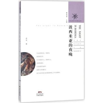 波西米亚的夜晚 波西米亚文化 艺术之夜摄影 文学故事集 自由精神 美学指南 经典作品 浪漫氛围 流浪生活 9787536084315