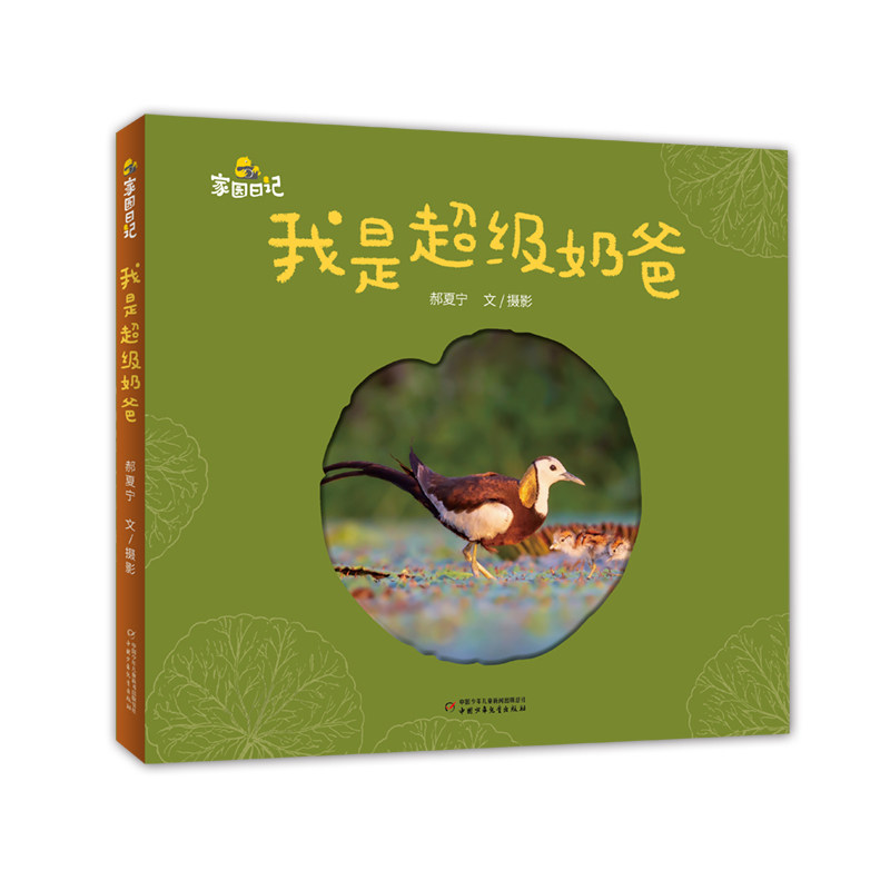 我是奶爸 新手奶爸 育儿技巧 科学育儿 亲子互动 家庭关系 实操手册 全彩插图 情感沟通 指南 案例分析9787514878370