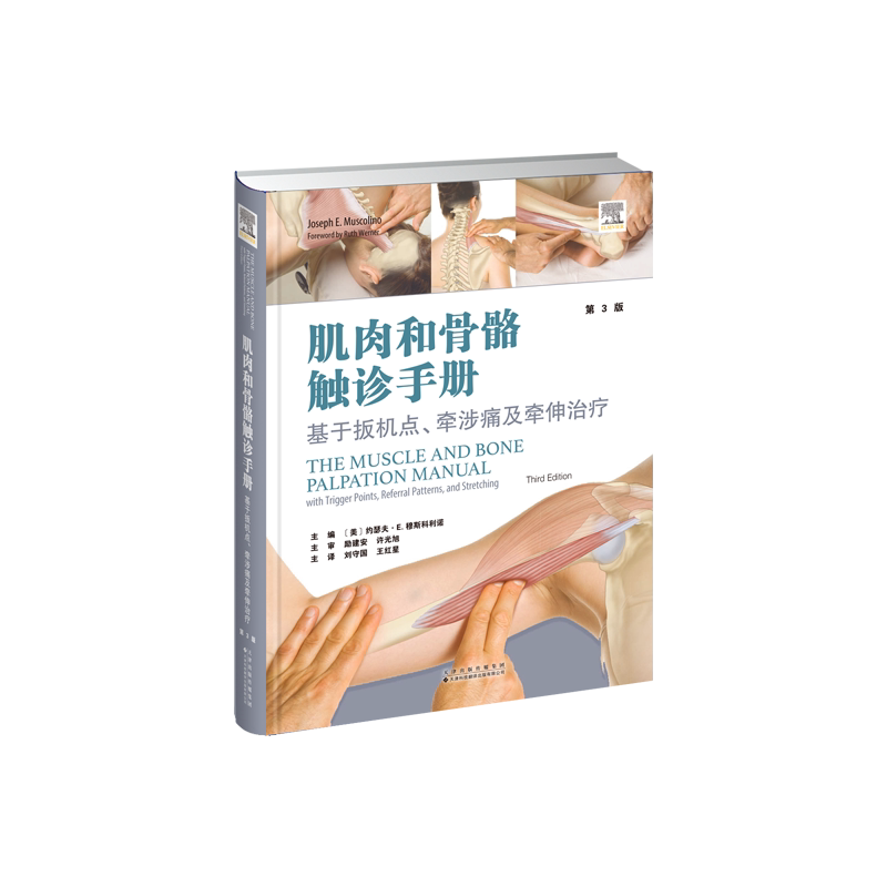 正版包邮 肌肉和骨骼触诊手册 (美) 约瑟夫·E. 穆斯科利诺主编 9787543347656 天津科技翻译出版有限公司