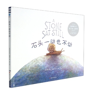 正版包邮 石头一动也不动 [美]布兰登·文策尔著；常立译 9787305218491 南京大学出版社