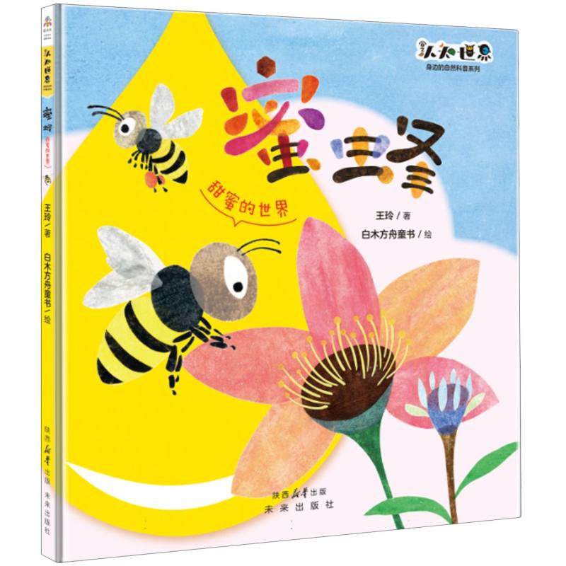 正版包邮 蜜蜂/未来童书绘本馆:187 王玲|绘画:白木方舟童书 9787541774133 未来