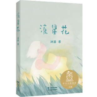 包邮 云南美术出版 流星花 9787548940609 社 冰波 正版