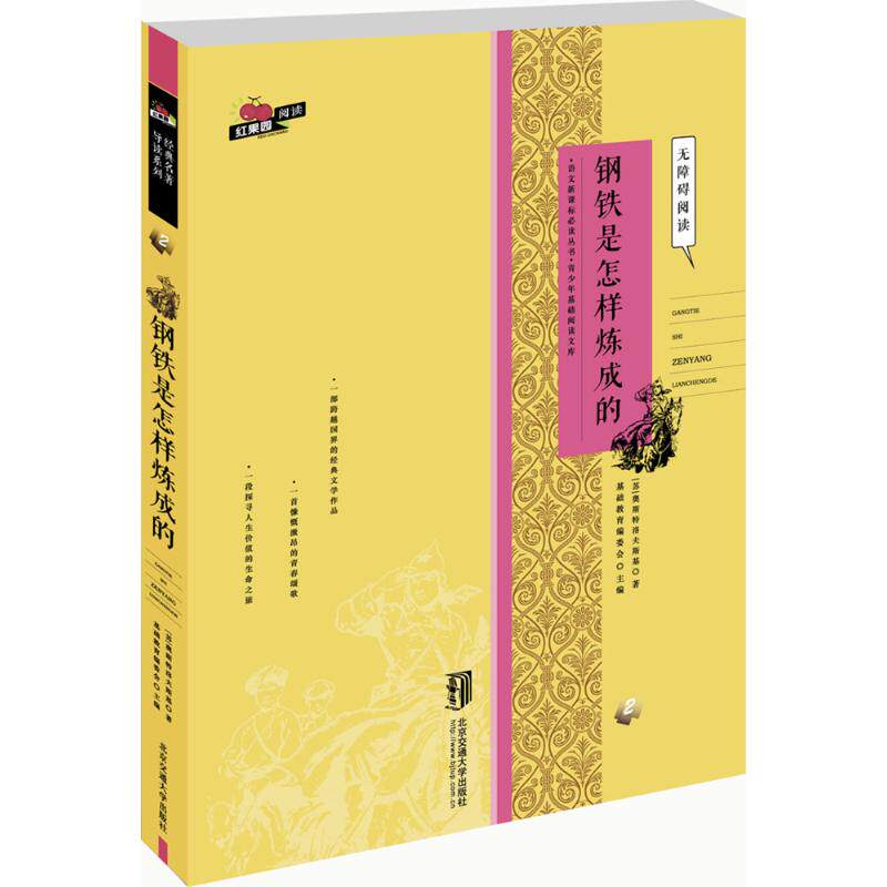 钢铁是怎么样炼成的 经典名著 励志成长 青春 深度解读 原著正版 全彩插图 青少年 成长启示9787512124868