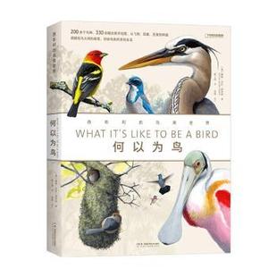 正版包邮 何以为鸟:西布利的鸟类世界 (美)戴维·艾伦·西布利(David Allen Sibley)著 9787571028121 湖南科学技术出版社