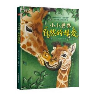 正版包邮 小小世界 自然的母爱 (比) 杰西·詹斯著 9787571352561 江苏凤凰科学技术出版社