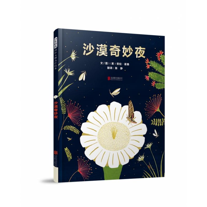 正版包邮 沙漠奇妙夜 [英]劳拉·霍桑文/图 9787559656957 北京联合出版有限公司