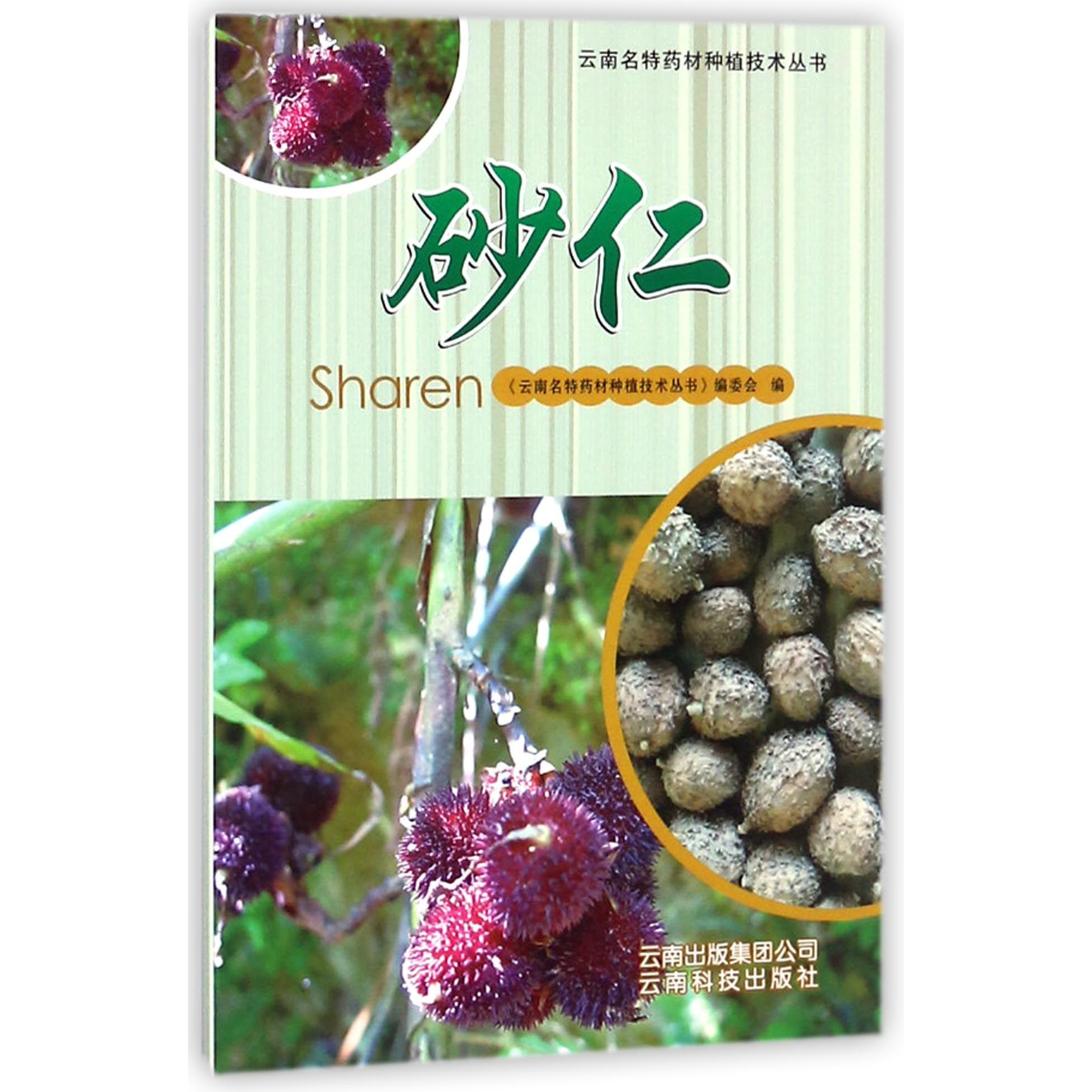 砂仁/云南名特药材种植技术丛书 砂仁种植 云南药材 科学栽培 高产技巧 病虫害防 采收加工 药农手册 种植丛书 9787558713040