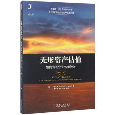 正版包邮 无形资产估值:如何发现企业价值洼地:a tool to leverage human and financial capital while managing risk