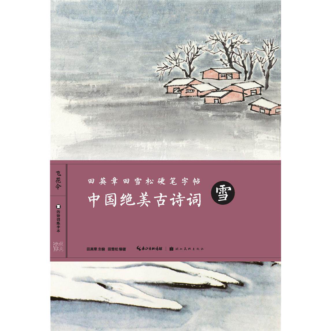 中国绝美古诗词(雪) 绝美雪诗词 经典咏雪名篇 意境赏析解读名家诗词精选 文学爱好者必入 陶冶情操佳作 9787539493091