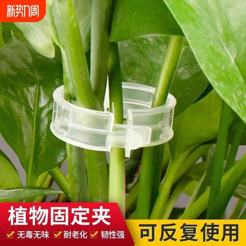 家用爬藤支架植物固定夹器卡扣扶蔓绿植果树蔬菜秧支撑杆捆绑扎带图片