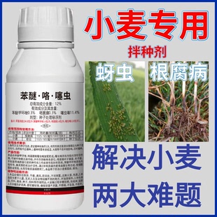 苯醚咯噻虫小麦拌种剂专用药种衣剂花生玉米水稻大蒜杀虫杀菌批发
