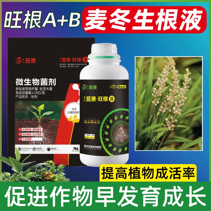 麦冬生根剂生根粉壮苗剂生根液养根营养膨大素膨果中药材根茎膨大图片