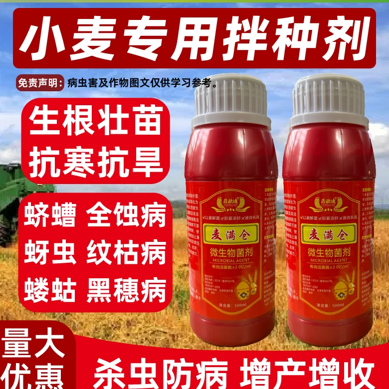 小麦拌种剂生根微生物菌剂拌麦种专用药防虫防病种衣剂种子包衣剂