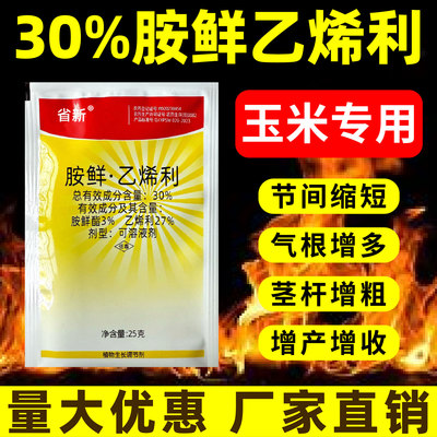 玉米控旺剂胺鲜乙烯利生长调节剂胺鲜酯玉米苞米矮壮素缩节专用药