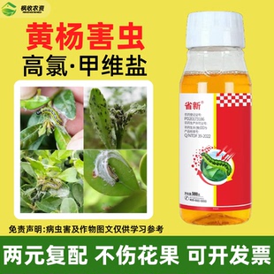 瓜子黄杨大小叶黄杨杀虫剂青虫毛毛虫卷叶螟绢野螟专用食叶害虫药