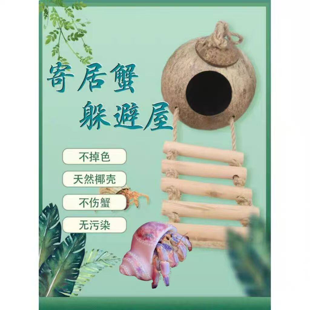 椰壳躲避寄居蟹椰壳带梯子鸟窝繁殖箱牡丹虎皮鹦鹉宠物用具