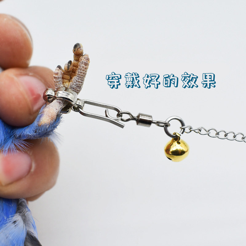 鹦鹉鸟脚环脚活扣开口环不锈钢鸟脚链轻便脚套足环八哥站架鸟环