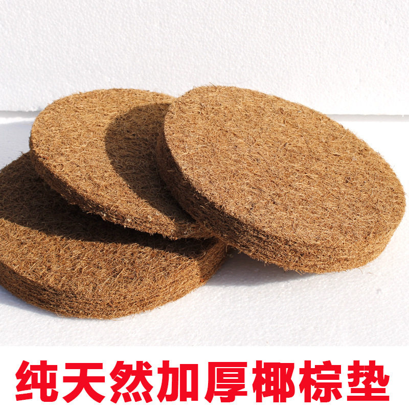 信鸽巢盆棕垫鸽子窝垫布垫鸽子用品用具塑料窝垫子鸟窝垫清洗布垫