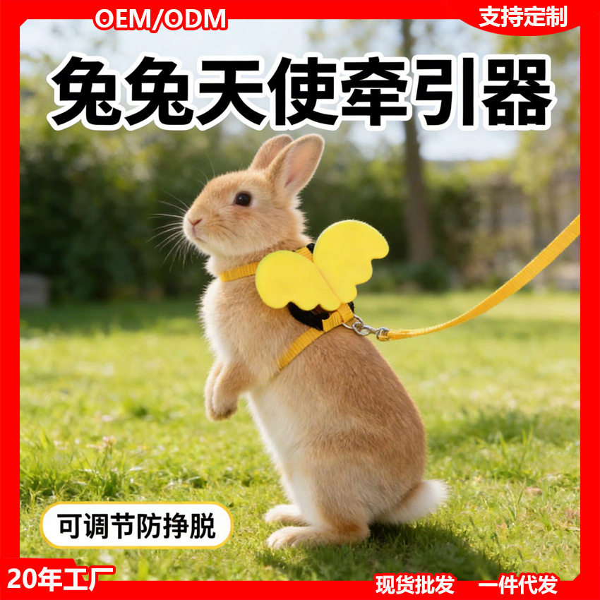 小兔子天使牵引绳防挣脱宠物外出溜幼兔宝宝荷兰猪龙猫链子