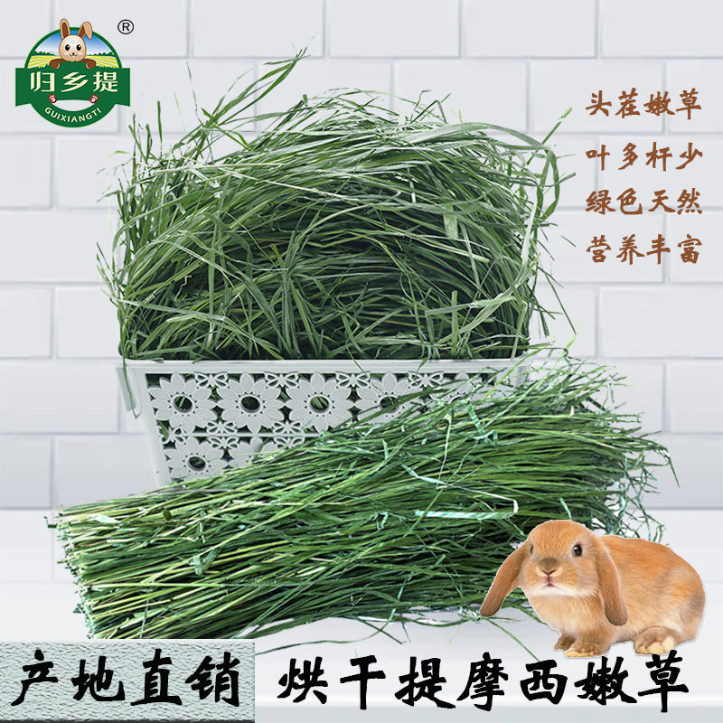 烘干兔子提摩西草主粮龙猫荷兰猪牧草头茬宠物兔北提摩西干草兔草