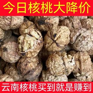 薄皮核桃新货5斤 云南坚果新鲜干核桃零食干果 薄壳肉厚纸皮核桃