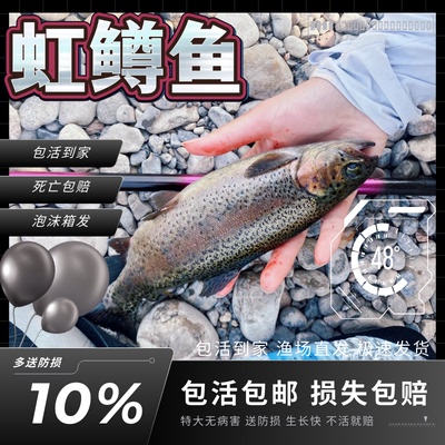 重庆发货正宗虹鳟鱼苗批发顺丰