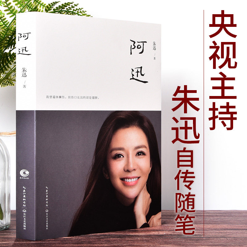 散文随笔集人物自传明星写真星光大道 央视主持人白岩松白说姥姥语录