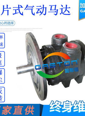 GASTON加斯顿大功率高转速防爆气动马达AMV9叶片式气动马达厂家