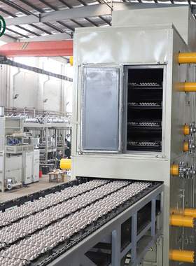 8000PCS/小时果托瓶托机出售高效蛋盒机双回转果盘制造线