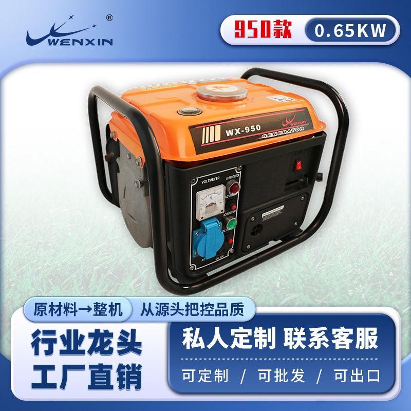 灵活定制220v1500w12伏24伏迷你500w微型家用小型静音发电机