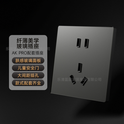 适用于PTX-AKPRO/X1/AKULtra配套插座 白色/灰色