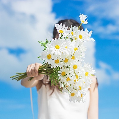 ins风小雏菊假花真高档装