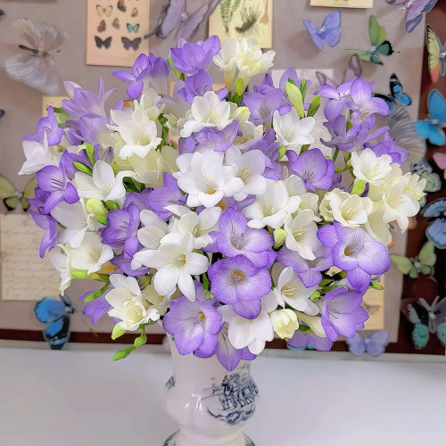 香雪兰鲜花云南直发顺丰包邮