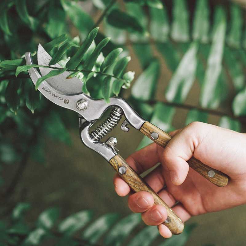 水曲柳木柄修枝剪花艺园林果树修剪树枝修L花剪刀省力家用园艺工,农机/农具/农膜,播种栽苗器/地膜机,淘宝优惠券,粉丝福利购,淘宝优惠卷