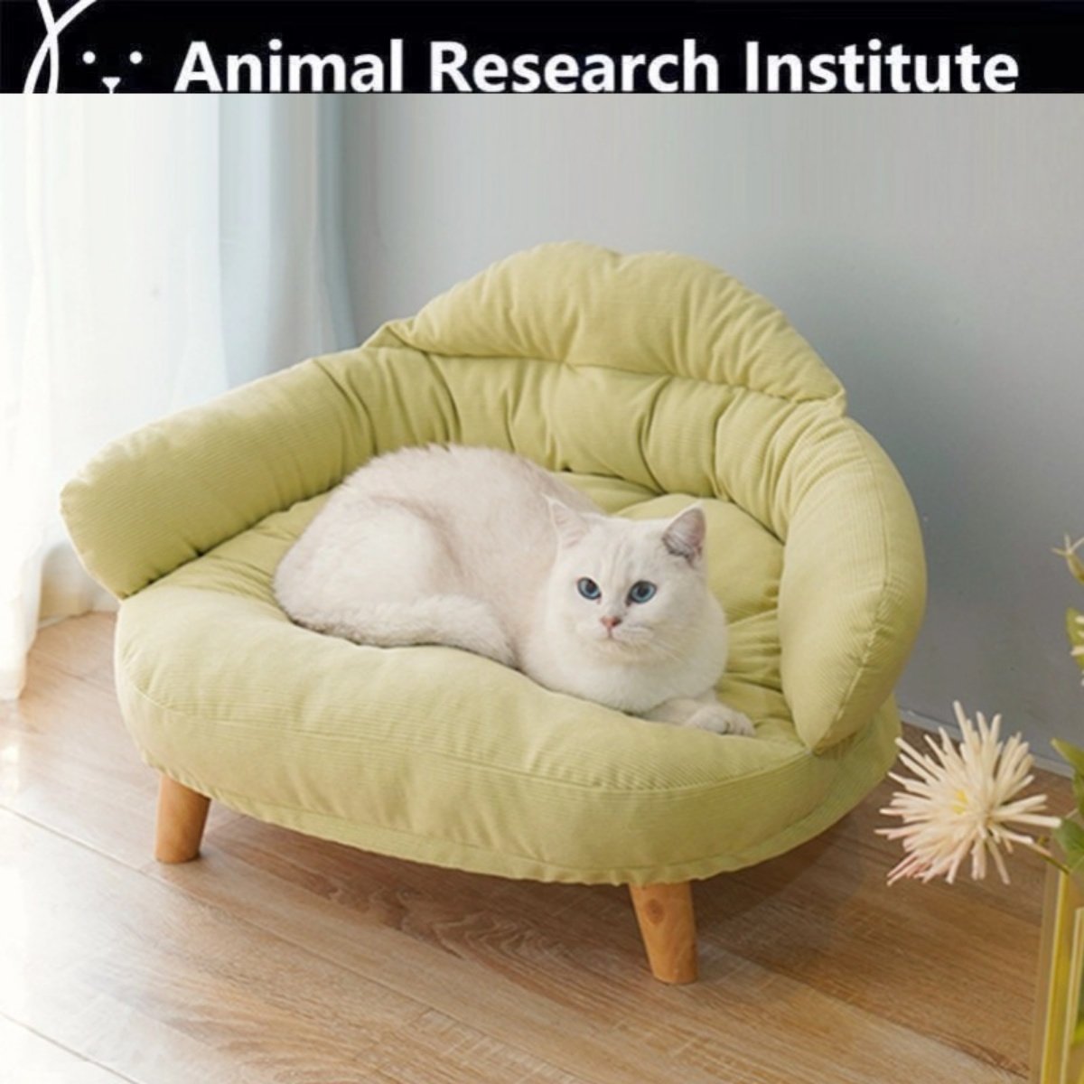 网红猫窝沙发可拆洗猫咪狗狗离地B沙发红狗窝大空间四季通用猫床,宠物/宠物食品及用品,猫窝/屋/帐篷/沙发,淘宝优惠券,粉丝福利购,淘宝优惠卷