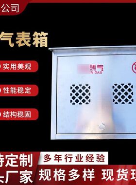 户外天燃气表箱不锈钢两户壁挂式防水檐计量表箱农村煤Z改气遮挡