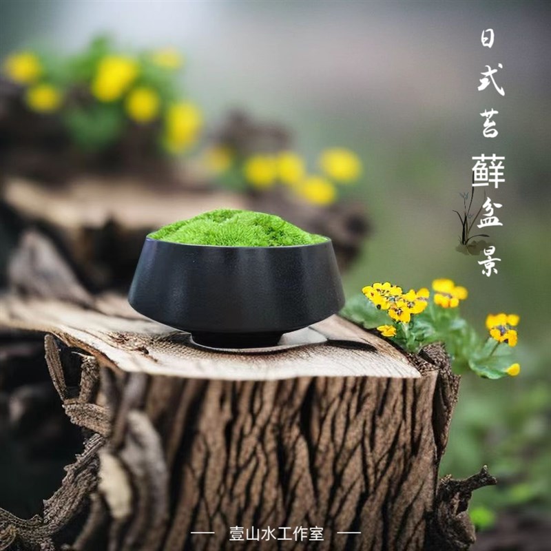 日式苔藓盆景禅意桌面微景观茶桌摆景酒J店日式餐厅办公室茶室清