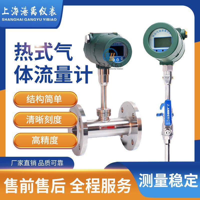 热式气体质量流量计插入式微小气体压缩空气气体流量计管道式