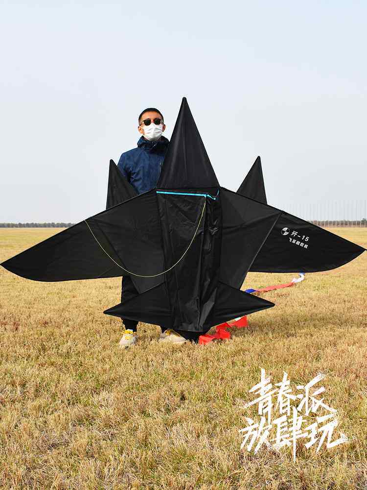 新款风筝大全飞机风筝2022新款风筝成人儿童卡通黑战斗机高档大型