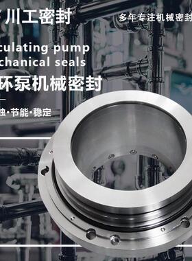 多效蒸发强制循环泵机封 ZWQEMD-800Y-B1-450SM-2530 机械密封