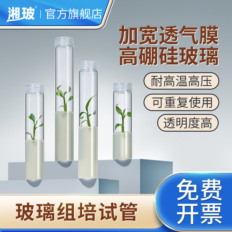 湘玻实验用高硼硅玻璃组培试管耐高温灭菌带透气膜盖培养管初代培养瓶子组培管实验室无菌