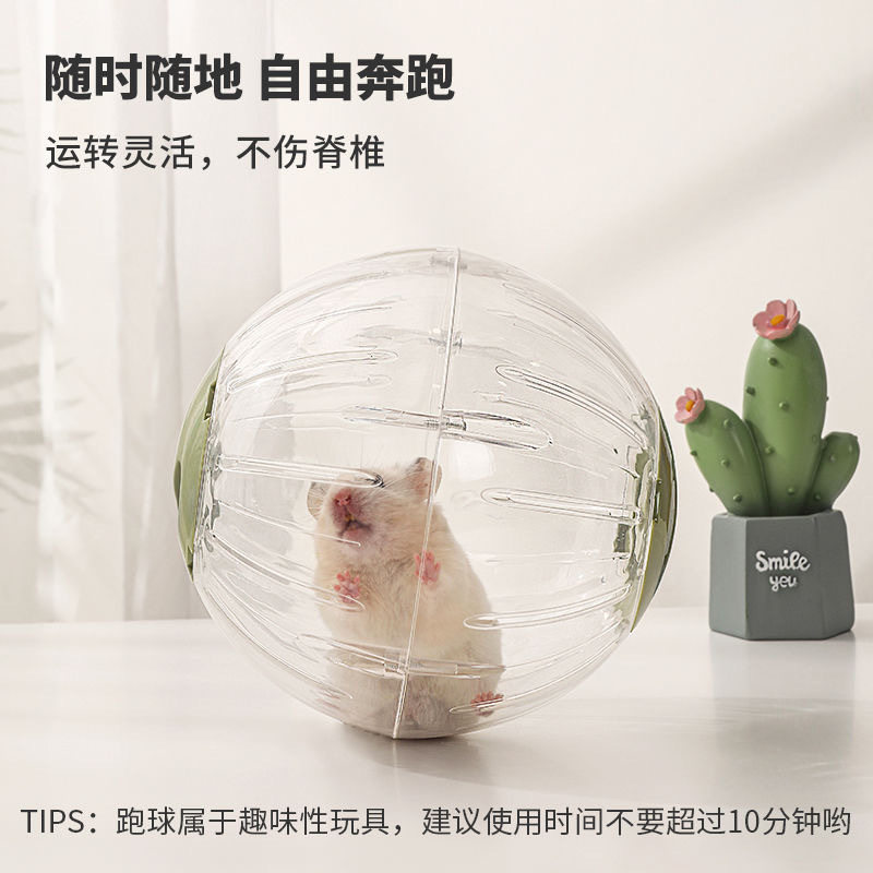 仓鼠跑球玩具金丝熊松鼠