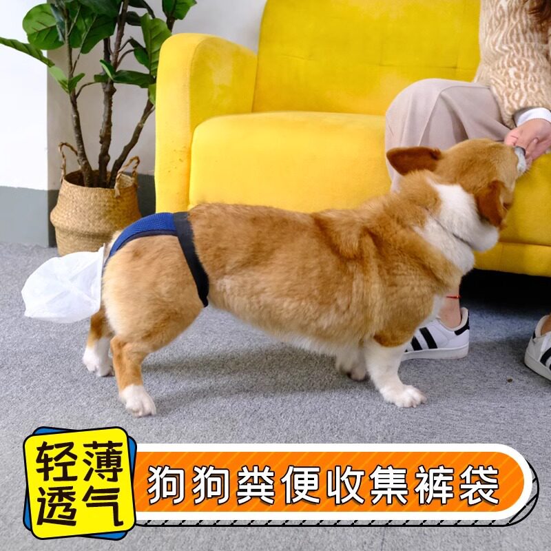 狗狗兜屎袋接屎大便神器
