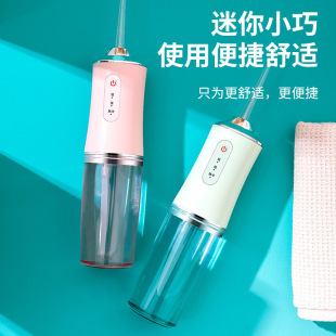 洗牙家用电动脉冲洁牙仪口腔牙渍清洁喷水牙线洁牙器 冲牙器式