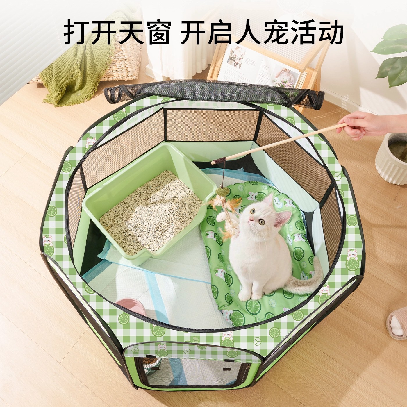 狗狗猫咪产房宠物母猫怀