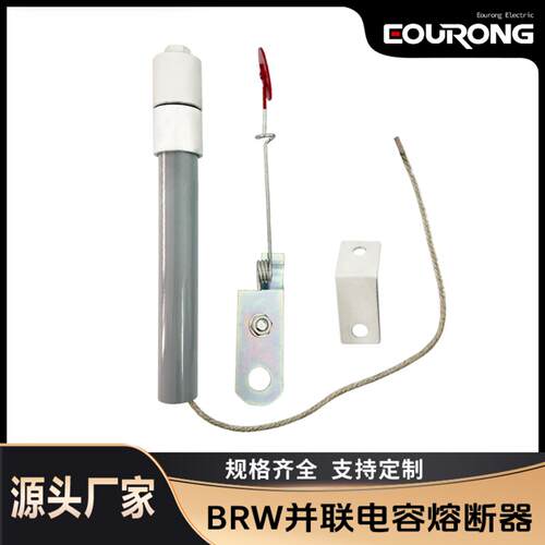 高压并联熔断器BR2BRNBRW系列10