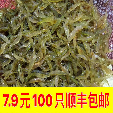 黑壳虾除藻草虾观赏虾工具清洁虾饲料虾活体水族箱鱼缸冷水虾超大