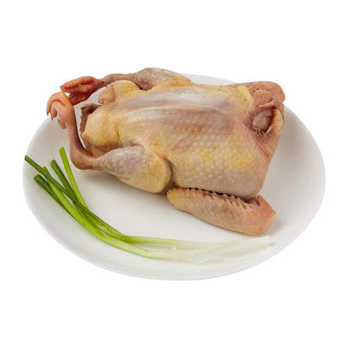 崇明生态老鸽 300g